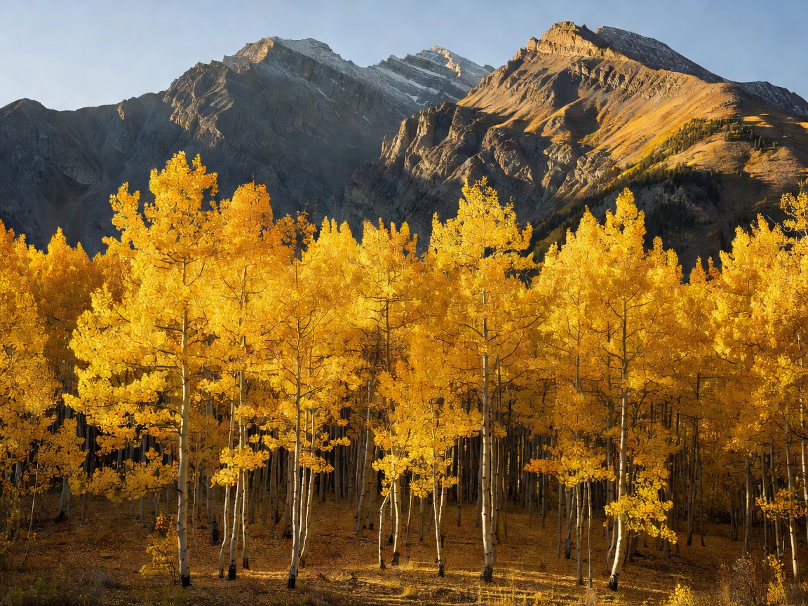 Golden aspen trees against rugged mountain peaks